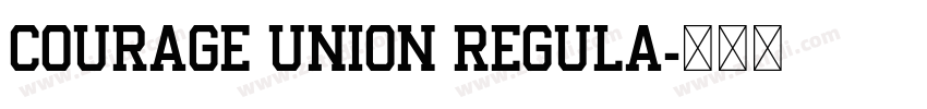 Courage Union Regula字体转换 Courage Union Regula字体转换